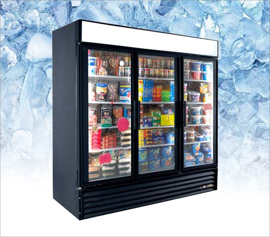 Ibev Commercial Freezer 